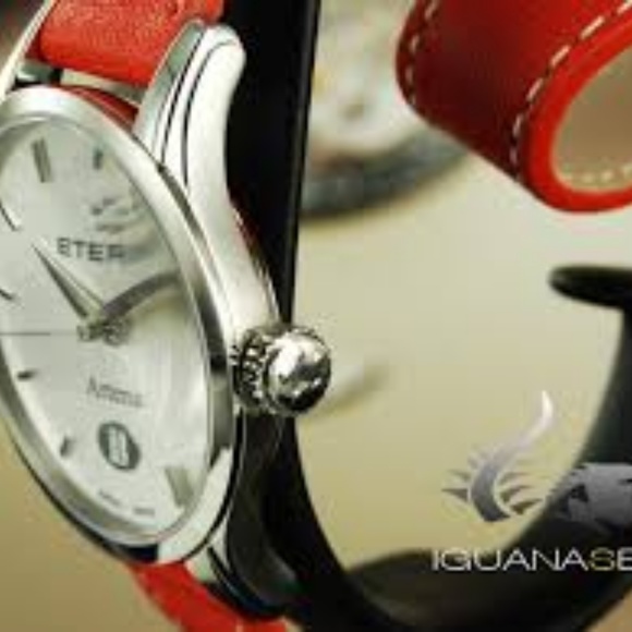 Brand New Eterna Swiss Quartz - Picture 6 of 7